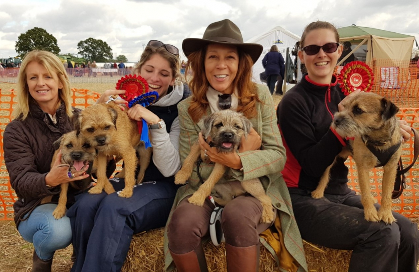 Weald of Kent ploughing match