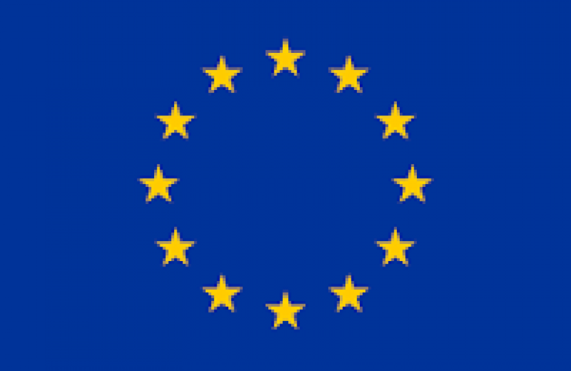 EU Flag