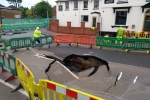 Barming Sink Hole